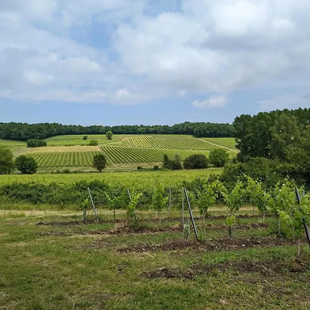 Maison Spacieuse Avec Piscine Chauffee, Jardin Clos, Terrasses, Cheminee, Et Equipements Bebe Inclus. - Fr-1-653-183 * Pereuil