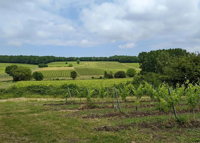 Maison Spacieuse Avec Piscine Chauffee, Jardin Clos, Terrasses, Cheminee, Et Equipements Bebe Inclus. - Fr-1-653-183 * Pereuil